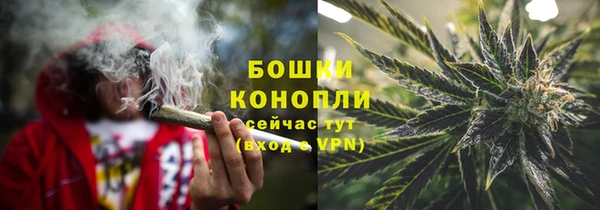 стаф Богородицк
