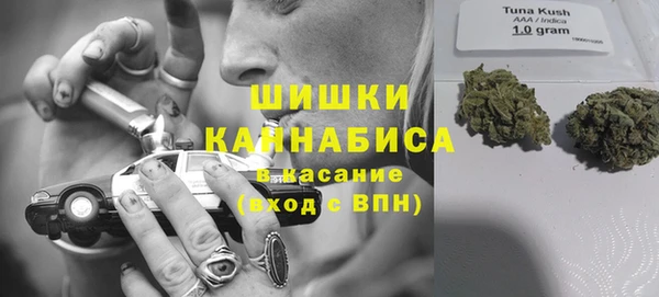 каннабис Бородино