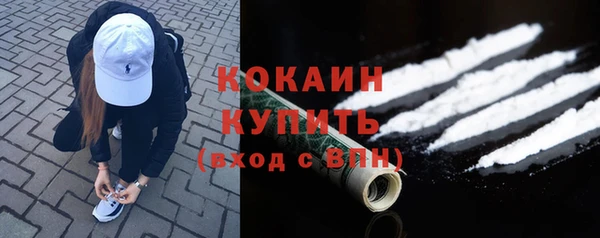 стаф Богородицк