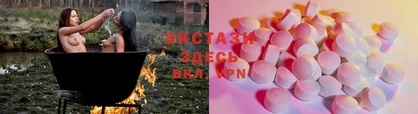 стаф Богородицк