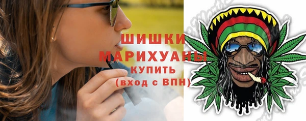 стаф Богородицк