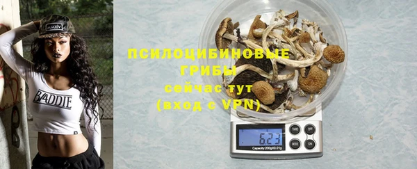 мяу мяу мука Богданович