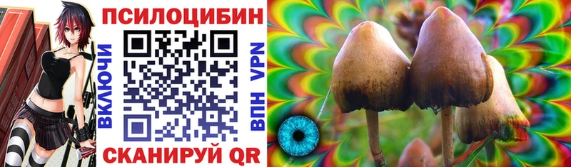 Галлюциногенные грибы Magic Shrooms  где найти   Кольчугино 