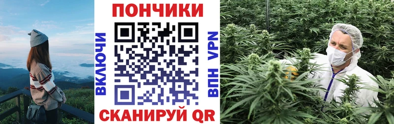 Конопля индика  Кольчугино 